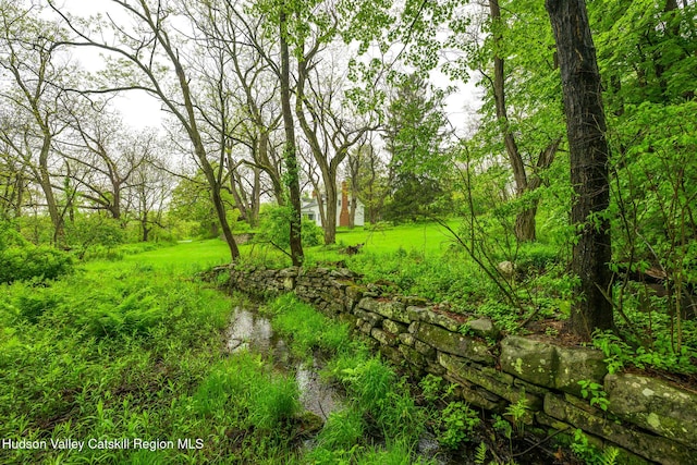 1250 County Route 351, Rensselaerville, NY 12147 - view of undeveloped land