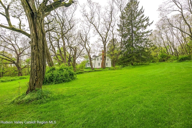 1250 County Route 351, Rensselaerville, NY 12147 - view of green lawn