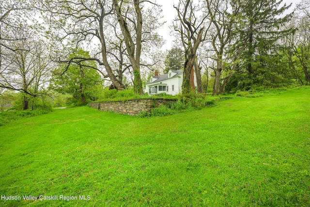 1250 County Route 351, Rensselaerville, NY 12147 - view of grassy yard