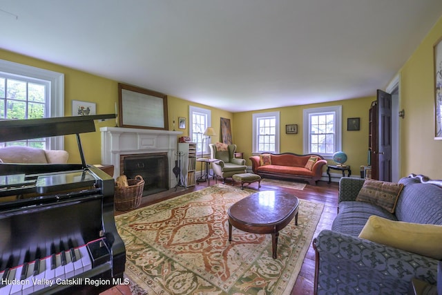 1250 County Route 351, Rensselaerville, NY 12147 - living room featuring plenty of natural light, wood finished floors, and a fireplace with flush hearth