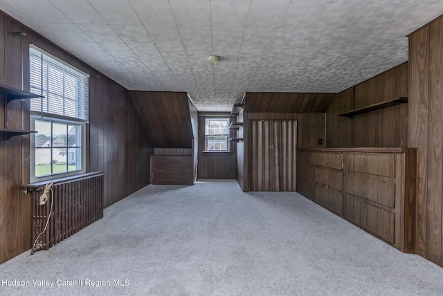 110 Harding Ave, Kingston, NY 12401 - photo 37