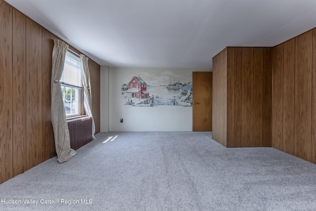 110 Harding Ave, Kingston, NY 12401 - photo 34