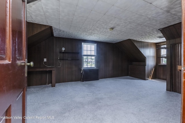 110 Harding Ave, Kingston, NY 12401 - photo 35