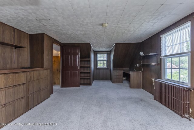 110 Harding Ave, Kingston, NY 12401 - photo 36