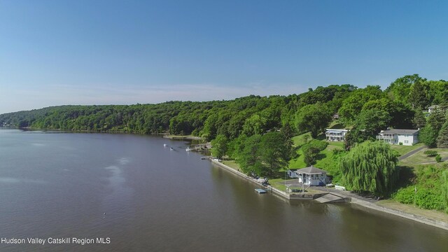 235 Tilden St, Port Ewen, NY 12466 - photo 27