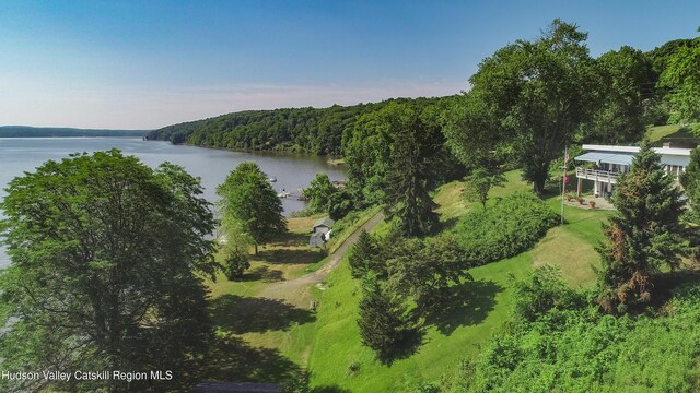 235 Tilden St, Port Ewen, NY 12466 - photo 30