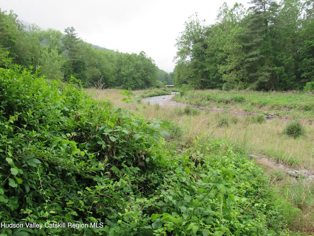 70 Watson Hollow Rd, West Shokan, NY 12494 - view of undeveloped land