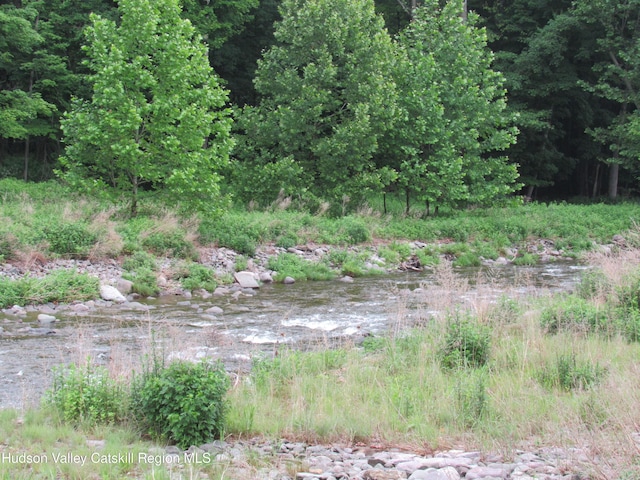70 Watson Hollow Rd, West Shokan, NY 12494 - view of nature