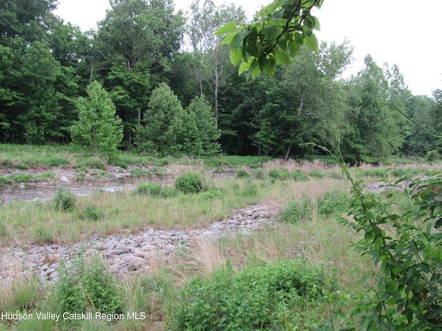 70 Watson Hollow Rd, West Shokan, NY 12494 - view of nature