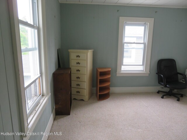 28 Lindsley Ave, Kingston, NY 12401 - photo 35