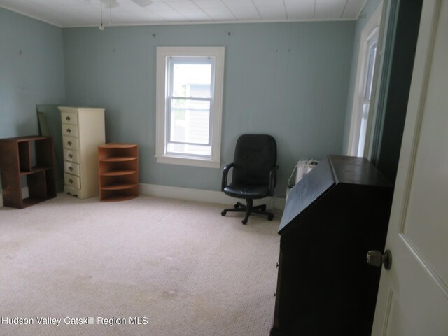 28 Lindsley Ave, Kingston, NY 12401 - photo 34