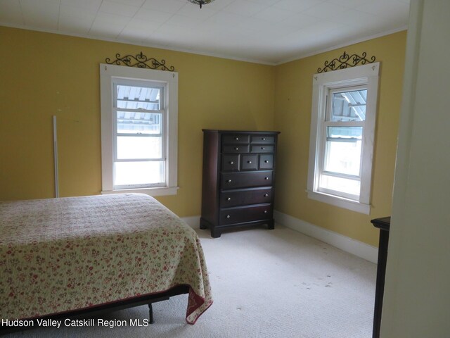 28 Lindsley Ave, Kingston, NY 12401 - photo 30