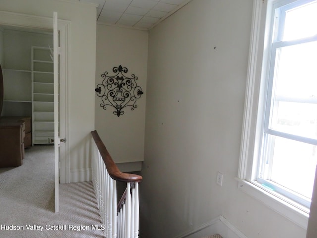 28 Lindsley Ave, Kingston, NY 12401 - photo 27