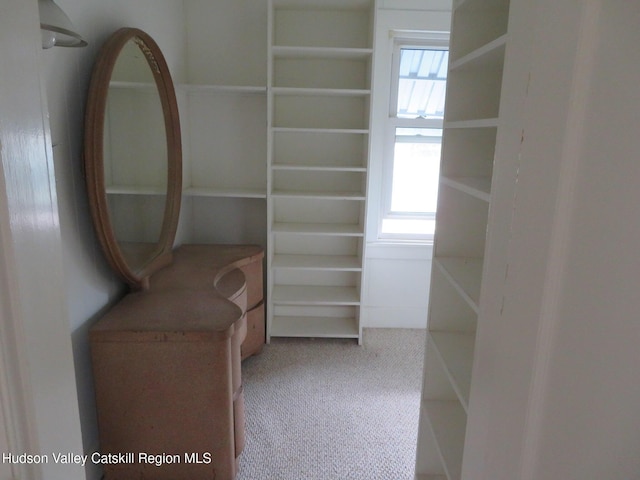 28 Lindsley Ave, Kingston, NY 12401 - photo 31
