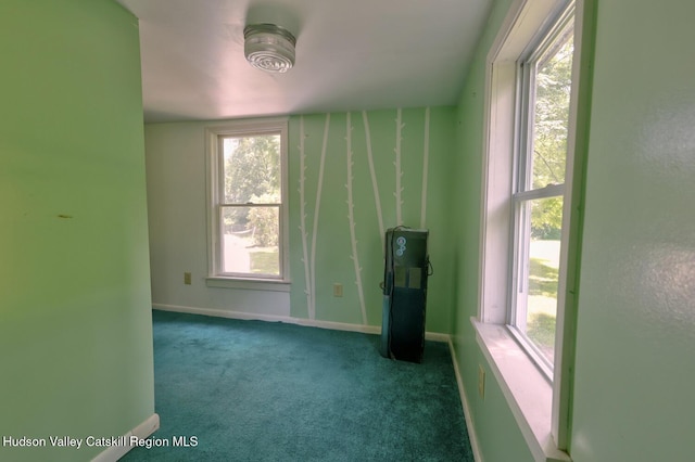 59 S Lincoln Dr, Cairo, NY 12413 - photo 35