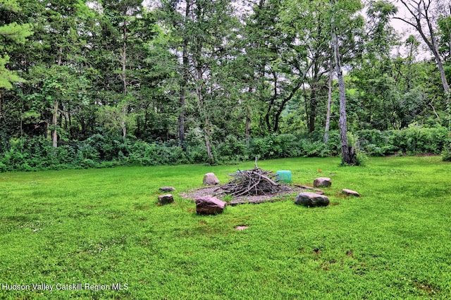 59 S Lincoln Dr, Cairo, NY 12413 - photo 63