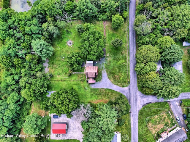 59 S Lincoln Dr, Cairo, NY 12413 - photo 16