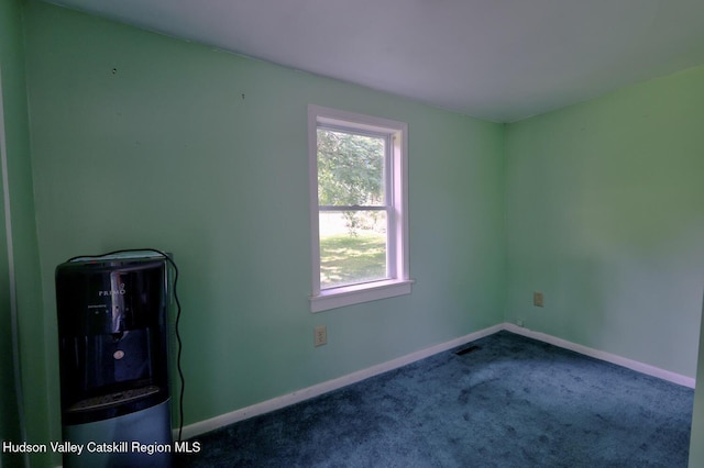 59 S Lincoln Dr, Cairo, NY 12413 - photo 34