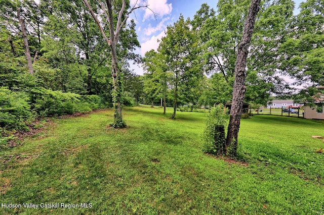 59 S Lincoln Dr, Cairo, NY 12413 - photo 67