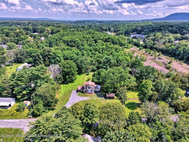 59 S Lincoln Dr, Cairo, NY 12413 - photo 21