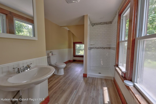 59 S Lincoln Dr, Cairo, NY 12413 - photo 47