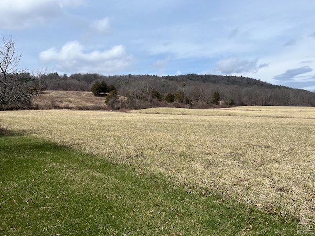 view of undeveloped land with rural landscape