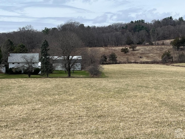 view of grassy yard featuring a wooded view
