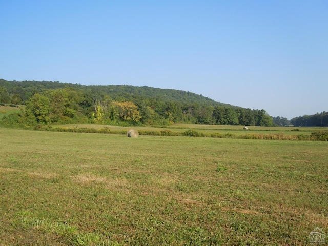 mountain view featuring rural landscape and a heavily wooded area