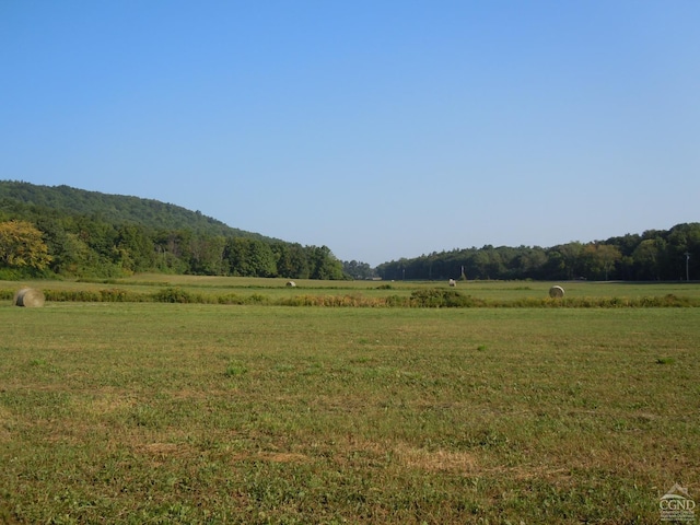 view of mountain backdrop with rural landscape and a heavily wooded area