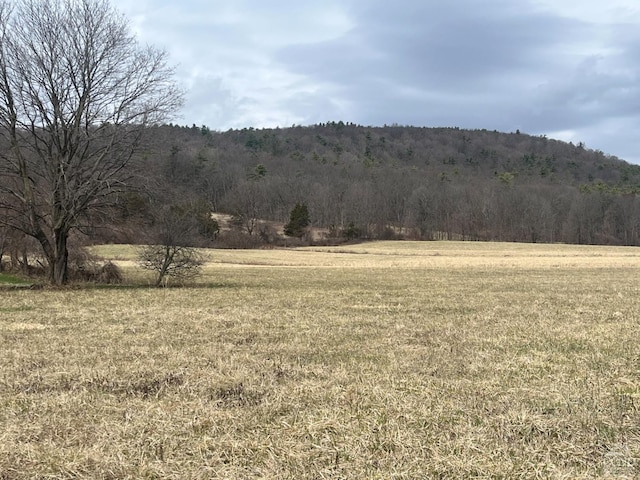 view of tree filled area with a view of rural / pastoral area