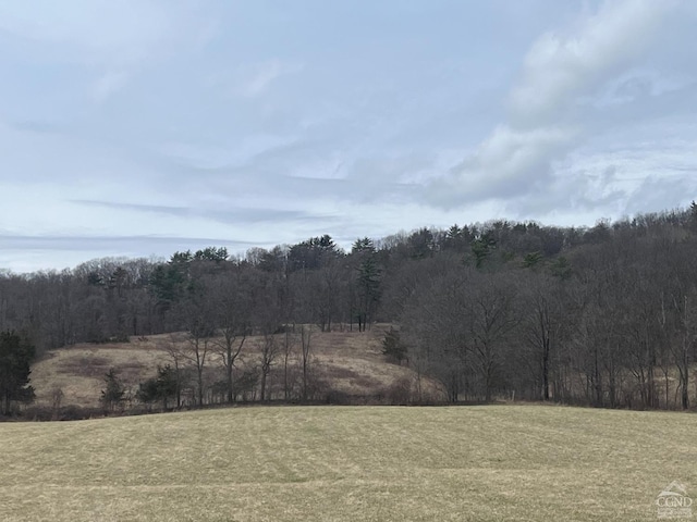 view of woods with a view of countryside