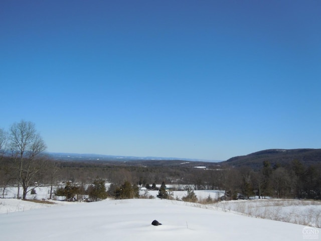 mountain view