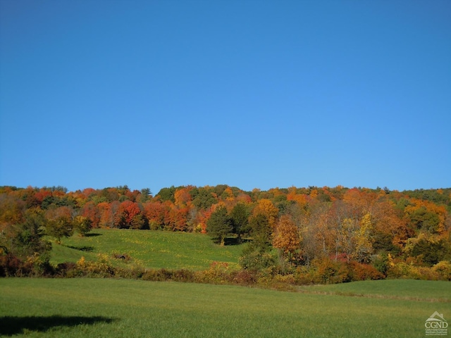 view of tree filled area