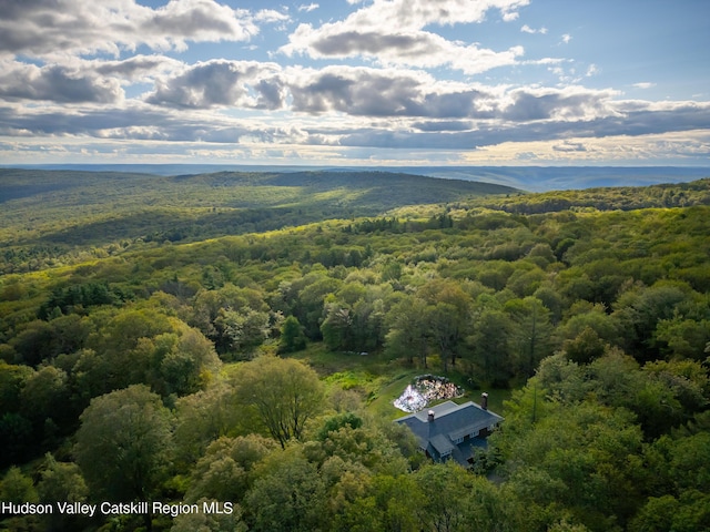 drone / aerial view