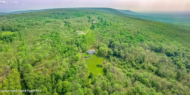 bird's eye view featuring a mountain view