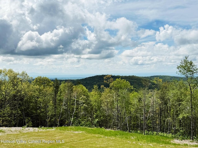25 Ridge Rd, East Chatham, NY 12060 - photo 31