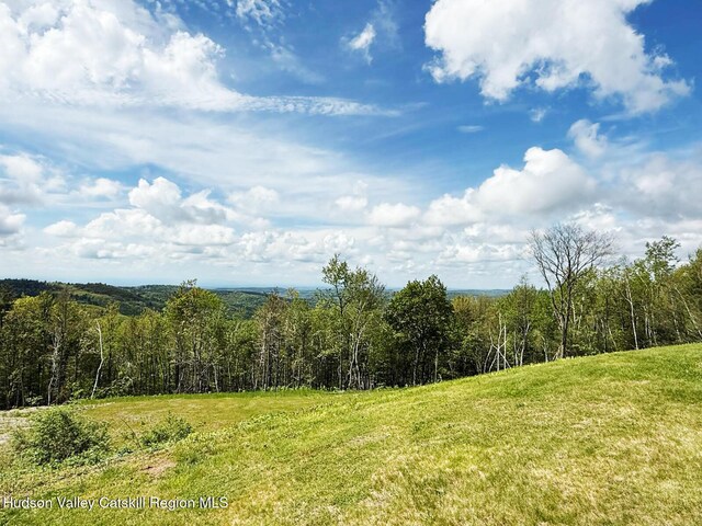 25 Ridge Rd, East Chatham, NY 12060 - photo 32