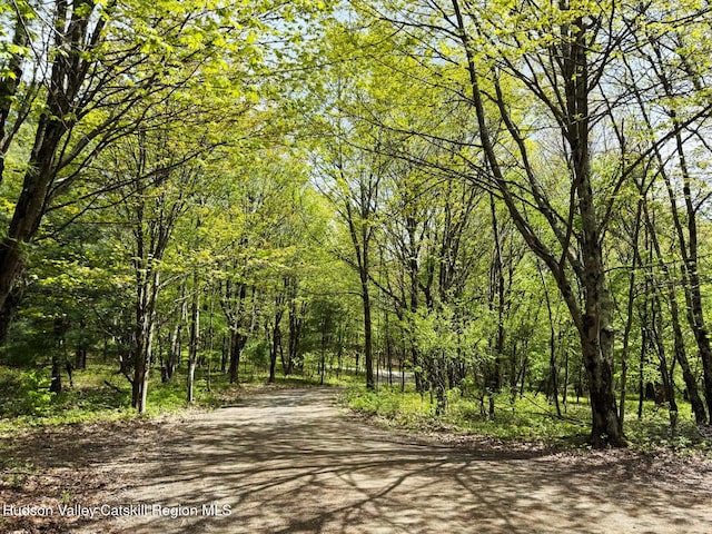25 Ridge Rd, East Chatham, NY 12060 - photo 4
