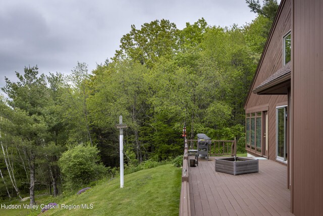 25 Ridge Rd, East Chatham, NY 12060 - photo 34