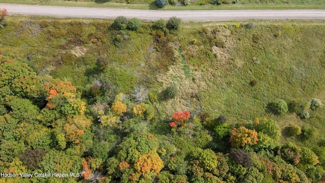 LOT4 Fairbairn Rd, Margaretville, NY 12455 - photo 14