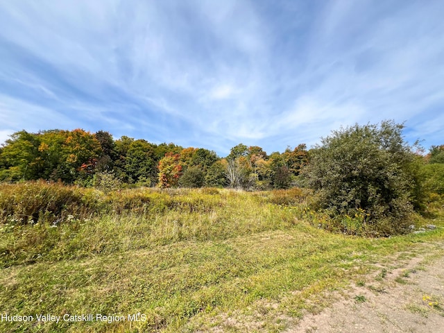 LOT4 Fairbairn Rd, Margaretville, NY 12455 - photo 6