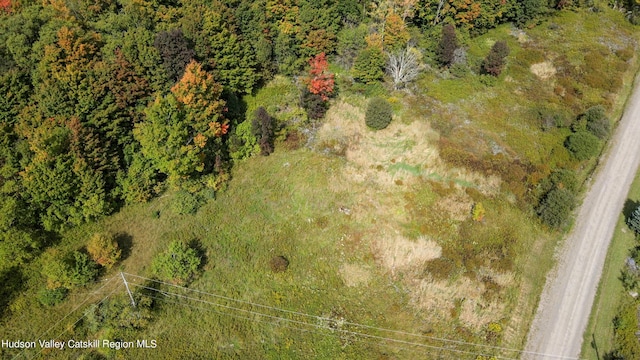 LOT4 Fairbairn Rd, Margaretville, NY 12455 - photo 15