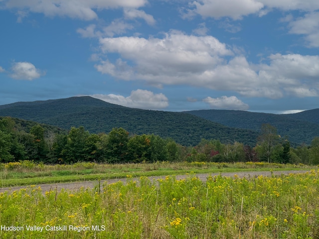 LOT4 Fairbairn Rd, Margaretville NY, 12455 land for sale