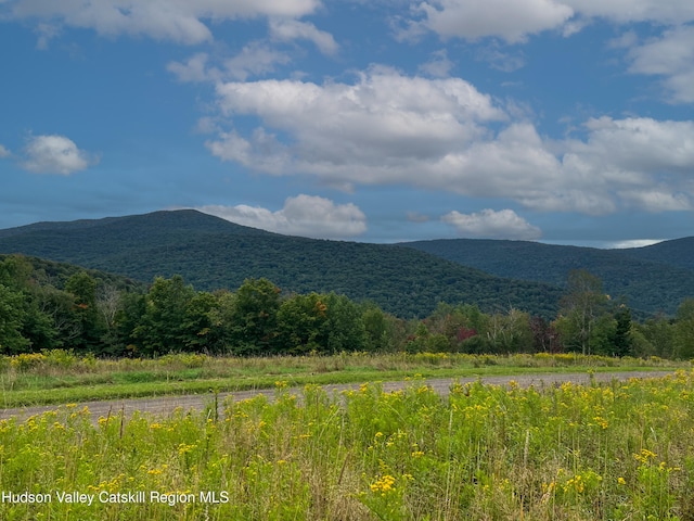 LOT4 Fairbairn Rd, Margaretville, NY 12455 - photo 1