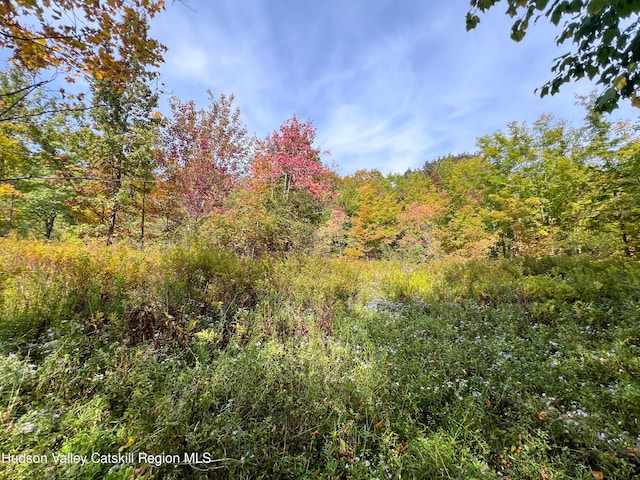LOT4 Fairbairn Rd, Margaretville, NY 12455 - photo 8
