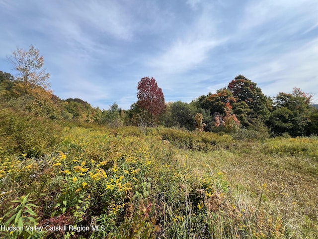 LOT4 Fairbairn Rd, Margaretville, NY 12455 - photo 4