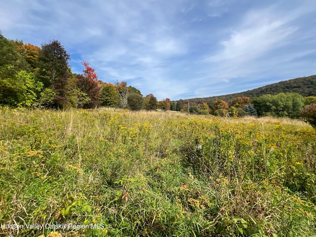 LOT4 Fairbairn Rd, Margaretville, NY 12455 - photo 12