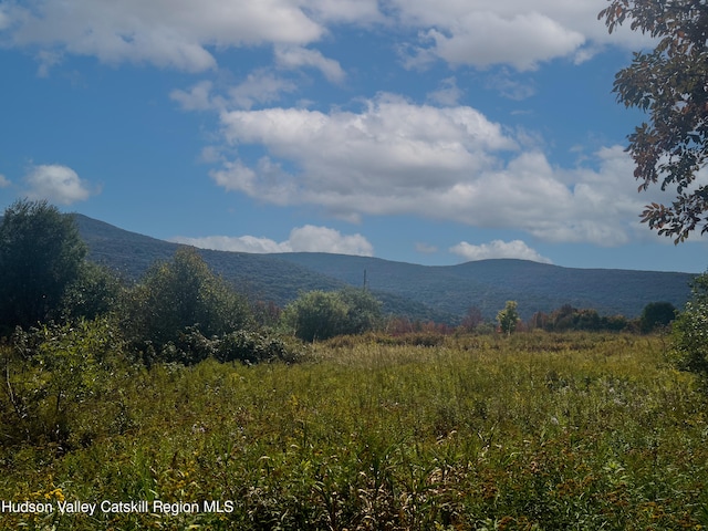LOT4 Fairbairn Rd, Margaretville, NY 12455 - photo 5