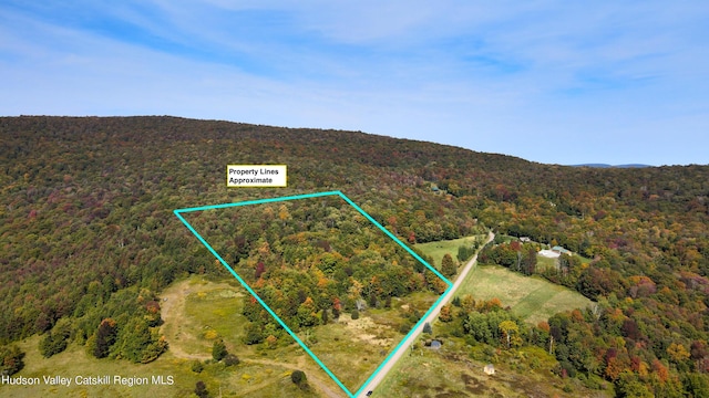 LOT4 Fairbairn Rd, Margaretville, NY 12455 - photo 7