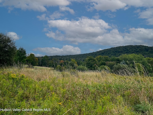 LOT4 Fairbairn Rd, Margaretville, NY 12455 - photo 2